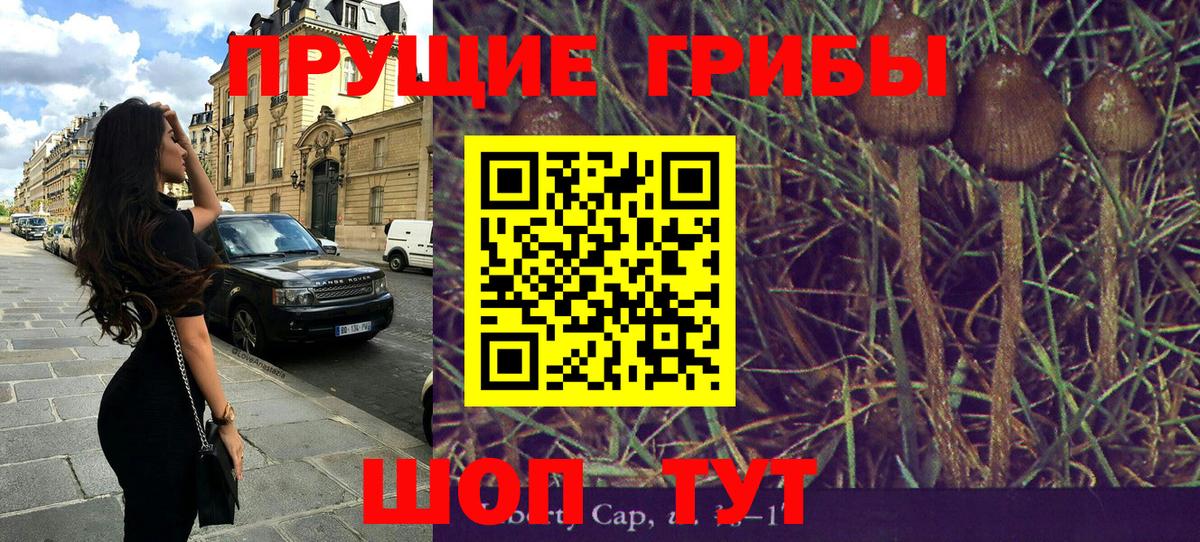 Галлюциногенные грибы прущие грибы Лениногорск